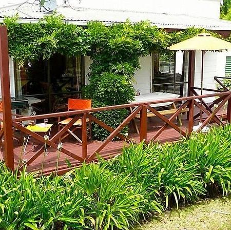 Cute Cottage - Cooks Beach Bach エクステリア 写真